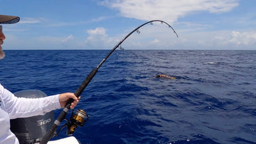 STANZ 20 lb Spinning Rod