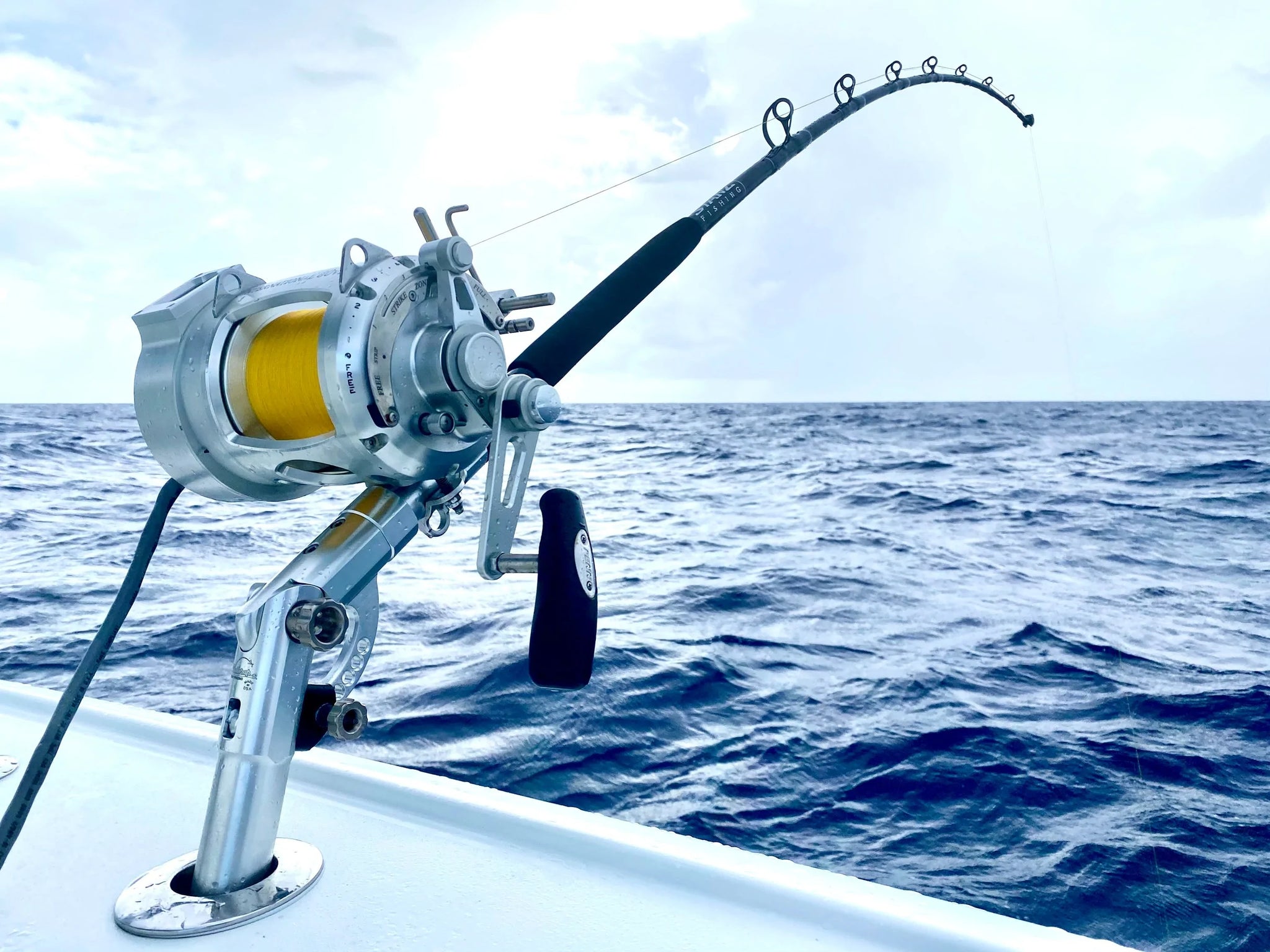 Diawa Trolling For Large Game / Bottom Fishing Rod and Reel